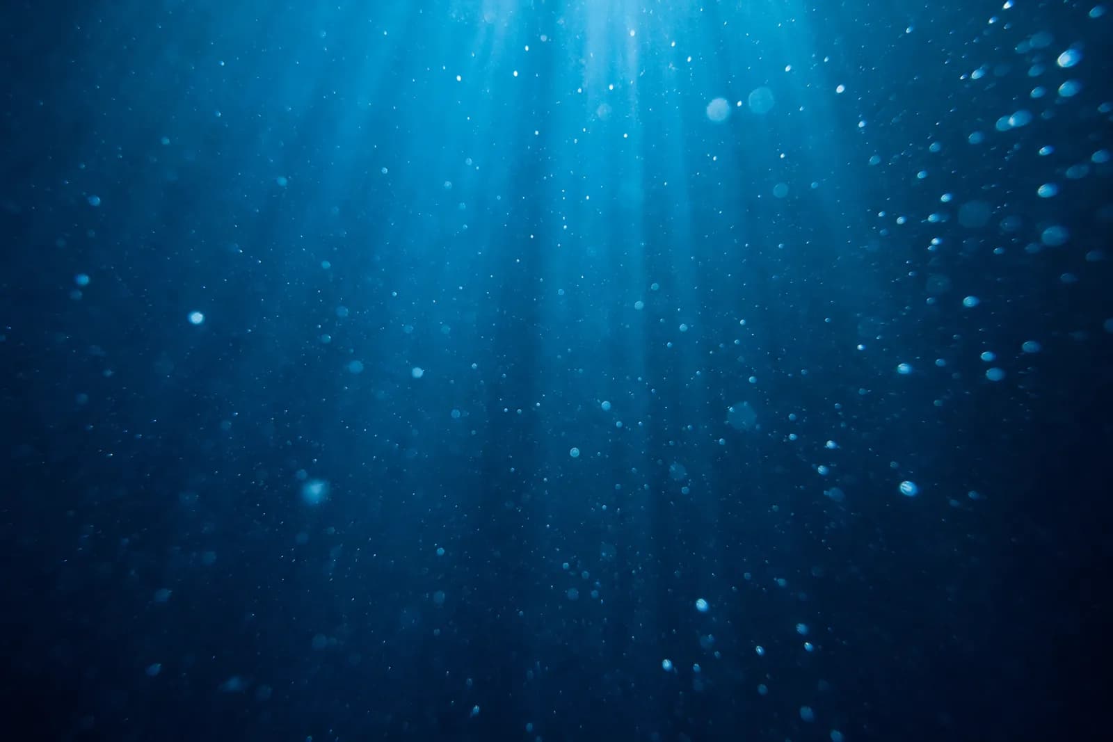 Microplastics in Drinking Water: What the Evidence Says and How Filtration Helps