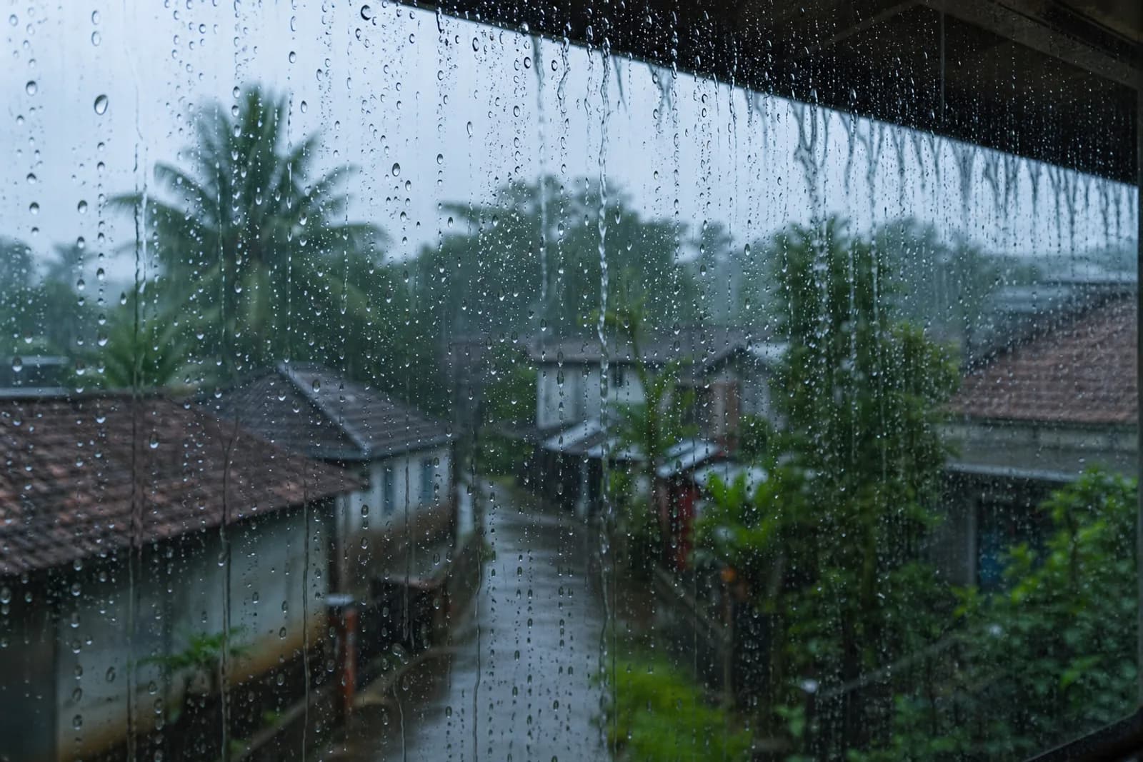 How the Wet Season Changes Your Water Quality